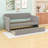 Tyrome Twin Size Velvet Upholstered Daybed With Twin Size Trundle-184101108