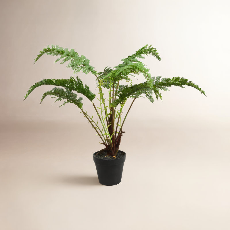 Fern 20 " H Faux Fern Plant in Plastic Pot