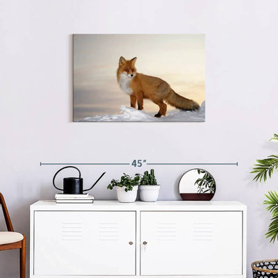 Brampt Majestic Fox