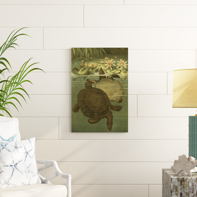 Tortues d'étang, H 30 po x l 20 po x P 1 po
