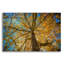 «Fall Tree» par Tim Oldford, art mural en verre acrylique épique, 36 po x 24 po-1829261817