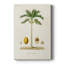 Antique Tree with Fruit II -Gallery Wrapped Cavas-108843965