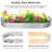Vishal Raised Garden Bed