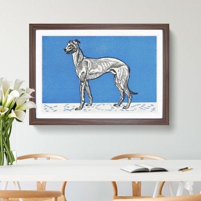 Greyhound Vol.1 by Moriz Jung - Picture Frame Graphic Art