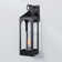 Marla Dusk to Dawn Iron Wall Light with Seed Glass Shade