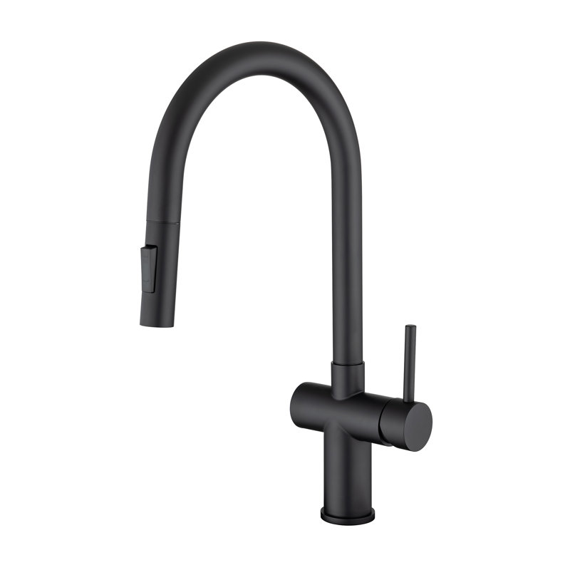 Robinet de cuisine Rainlex, Noir mat