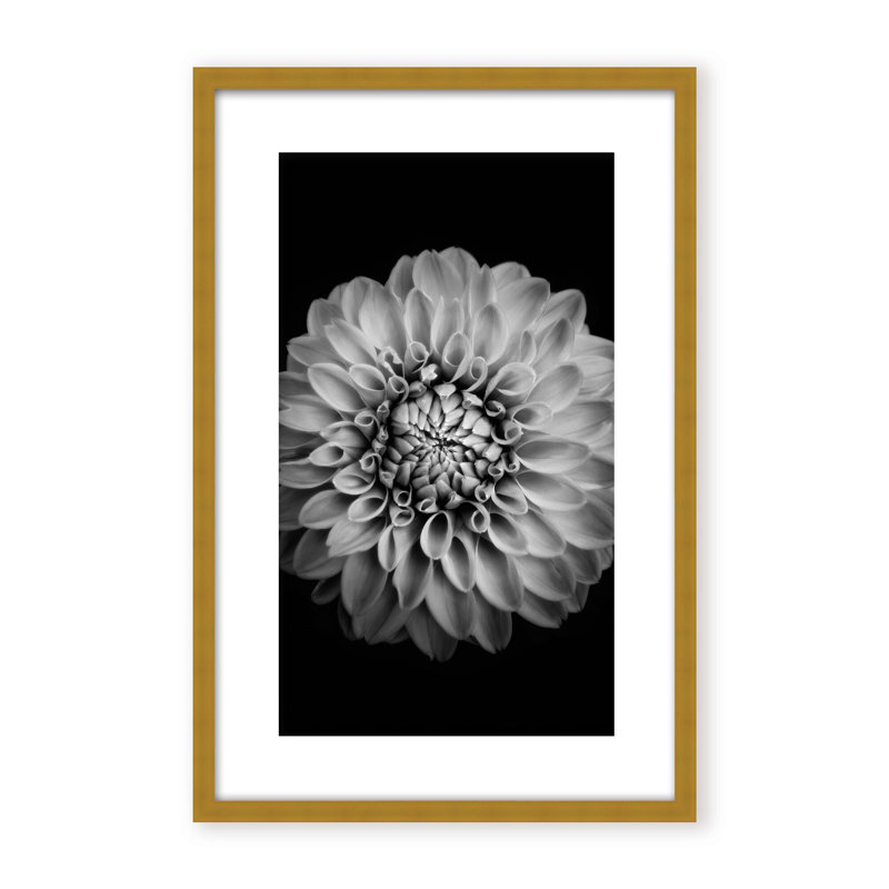 «Nature Inspired Marigold» par Alex Zhao - Photographie de cadre photo sur papier, H 24 po x l 16 po, Black