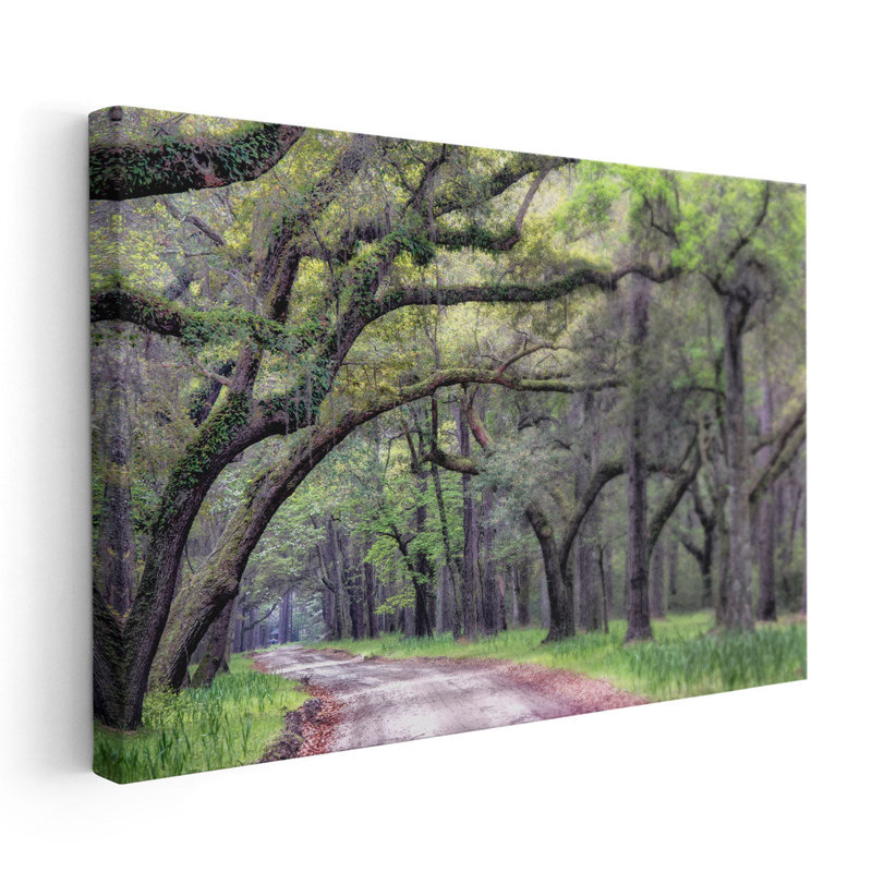 «Dirt Road I», reproduction d'art sur toile, H 24 po x l 36 po