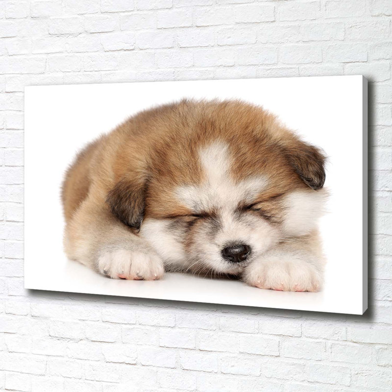 Akita Puppy - Wrapped Canvas Print