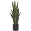 Feuillage artificiel floral et botanique Cole and Gray