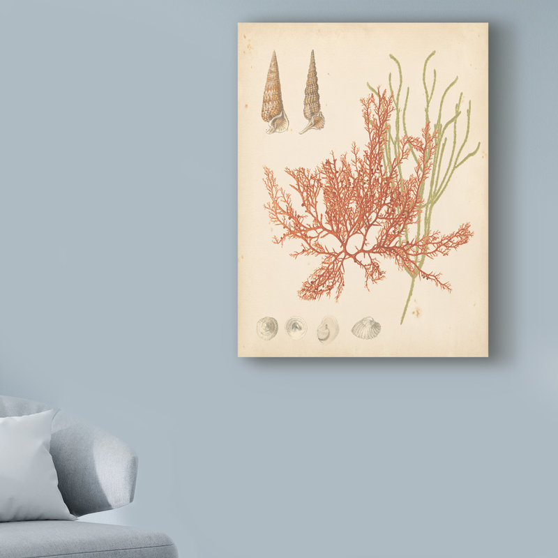 « côtier relic iii », reproduction d’impression sur toile tendue, H 19 po x l 14 po x P 2 po