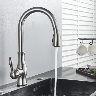 Belfry Kitchen Wyndemere Pull Out Kitchen Faucet