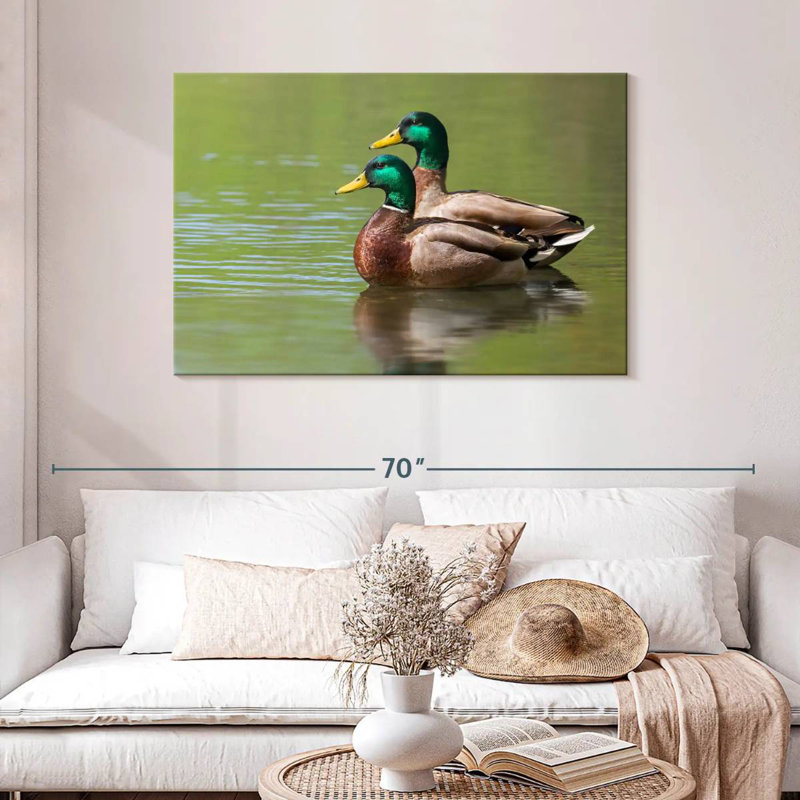 Couple de canards colverts Brampt, H 30 po x l 45 po