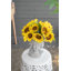 Centres de tournesol en paquet