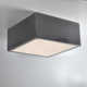Leni Single Light LED Flush Mount