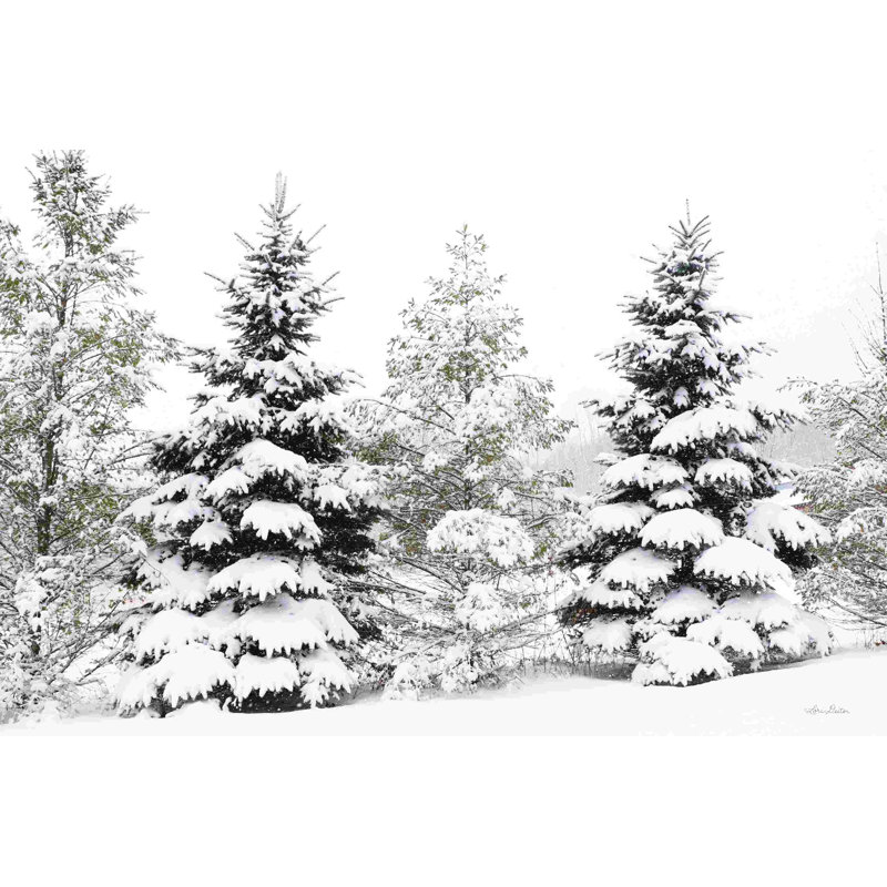 «Snowy Pine Trees» par Lori Deiter, reproduction de photo, H 20 po x l 30 po, Impression encadrée avec passe-partout, Argent
