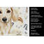 Serviette de cuisine Coffee Bar-1234934552