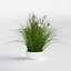 Cosmos artificiel en pot et herbe artificielle-841517893