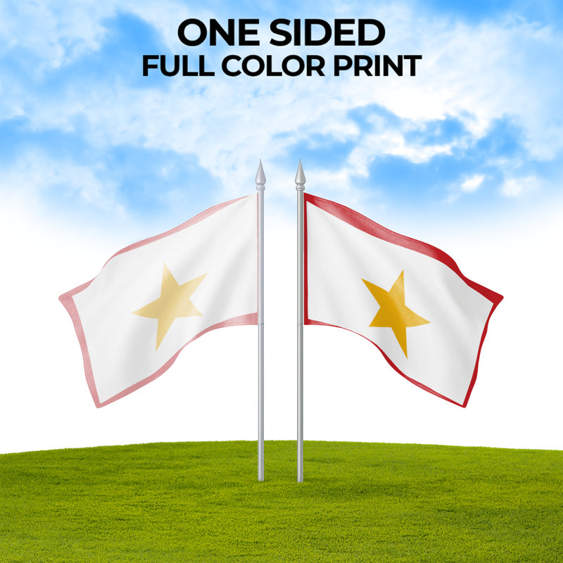 Drapeau familial Gold Star pour extérieur (122 x 183 cm) - Polyester durable et résistant à la décoloration, double couture, œillets en laiton - Impression HD - Drapeau de service civil - Fabriqué aux États-Unis
