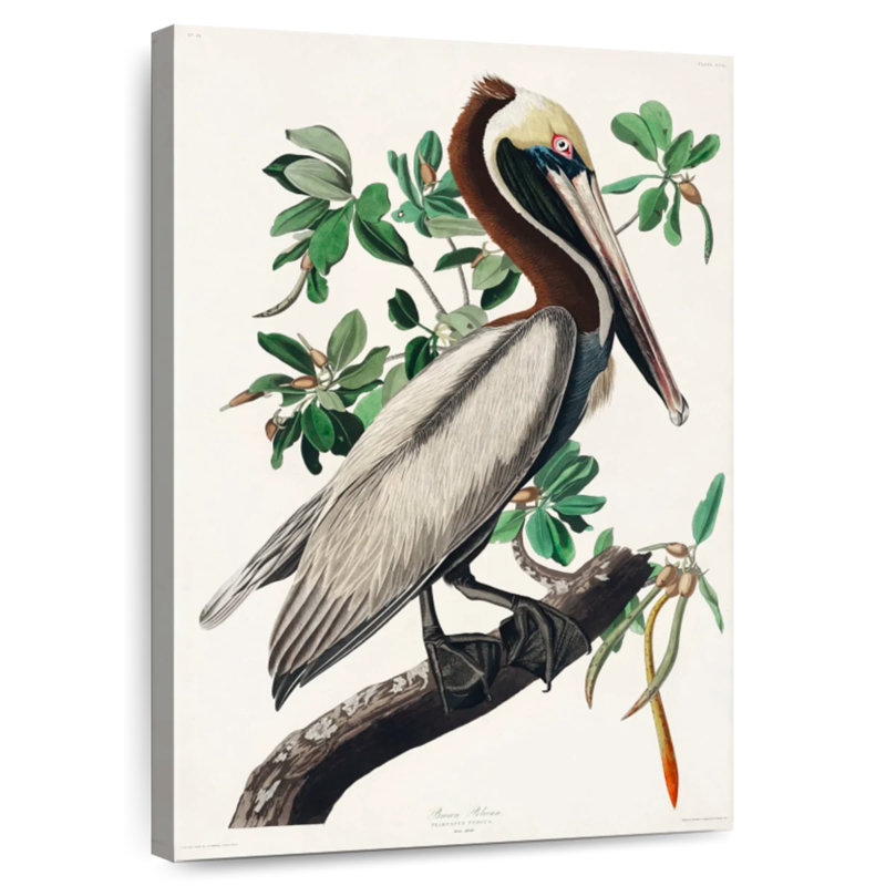 Brampt Brown Pelican II, 24" H x 16" W
