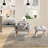 44.1''Wide Modern Soft Upholstered Standard Reclining Accent Chair With Ottoman-408589396
