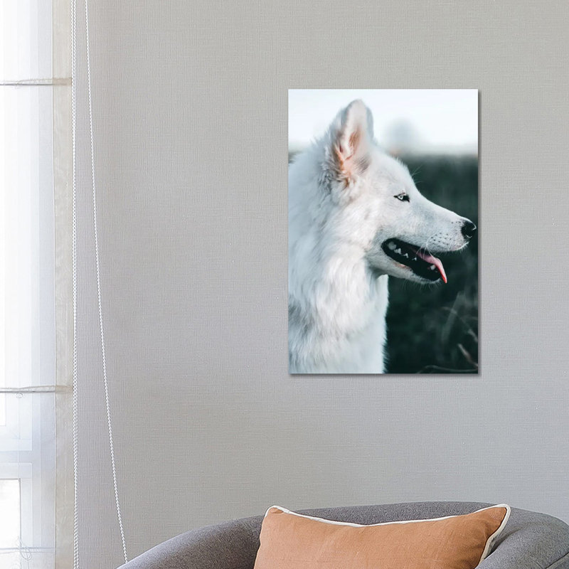 Snow Dog - Wrapped Canvas Print, 101.6 cm H x 66.04 cm W x 1.91 cm D