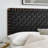 Modway Sparta Solid Wood Headboard-96356256-96356258