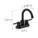 Eastport II Centerset Bathroom Faucet with Drain Assembly