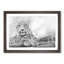 Leopard Resting - Picture Frame Photograph Print-56633102-56633107