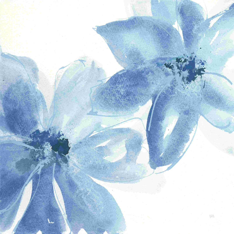 Clématite cobalt II, H 12 po x l 12 po