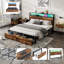 Daycia Storage Bed