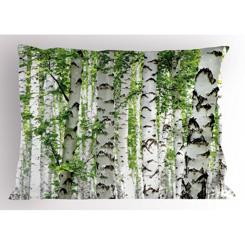 Taie décorative bouleaus de bois, Simple