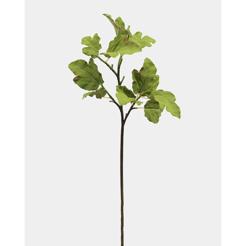 Branche de feuille de figuier de 39 po