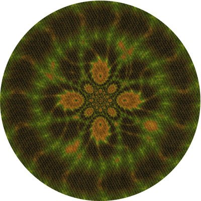 Oriental Indoor Rug