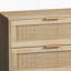 Commode d'appoint polyvalente pour le rangement dans le salon, armoire en bois avec tiroirs en rotin pour une esthétique et une fonctionnalité améliorées