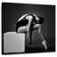 Danseuse de ballet sur une boîte-109221469