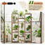 Candyse Plant Stand
