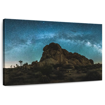 Oberle Joshua Tree, ciel nocturne