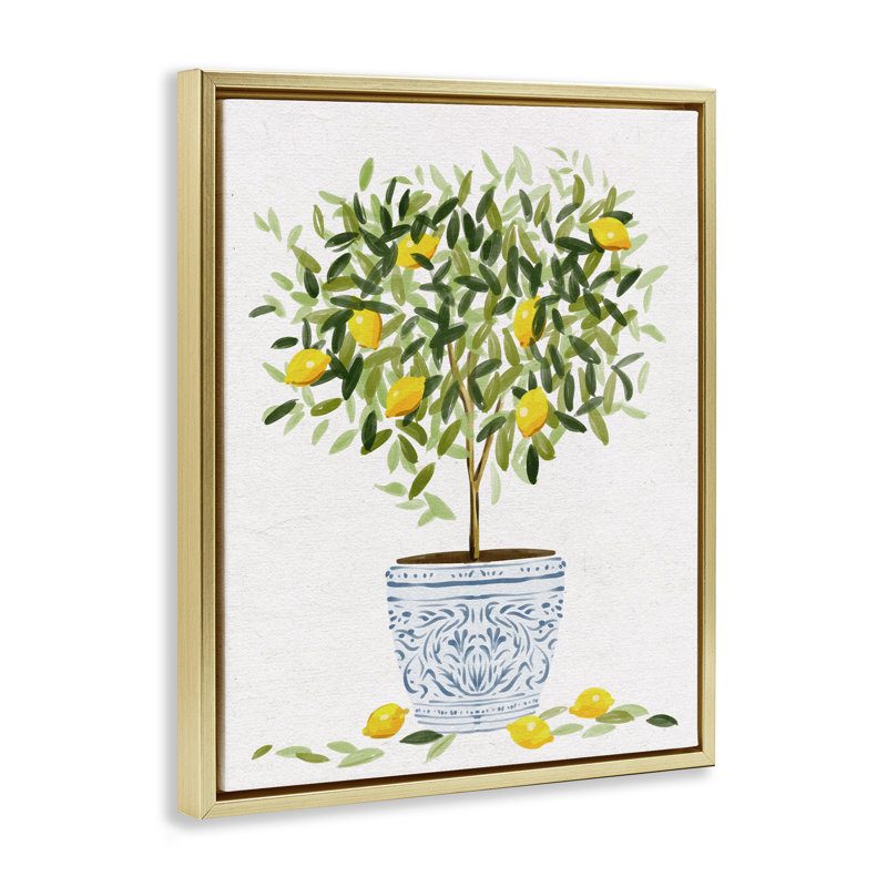 Pot à fleurs Lemon Tree, H 31 po x l 25 po, Cadre flottant métallique doré