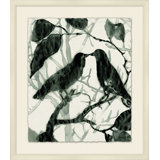Nature's Harmony 2 Framed Print