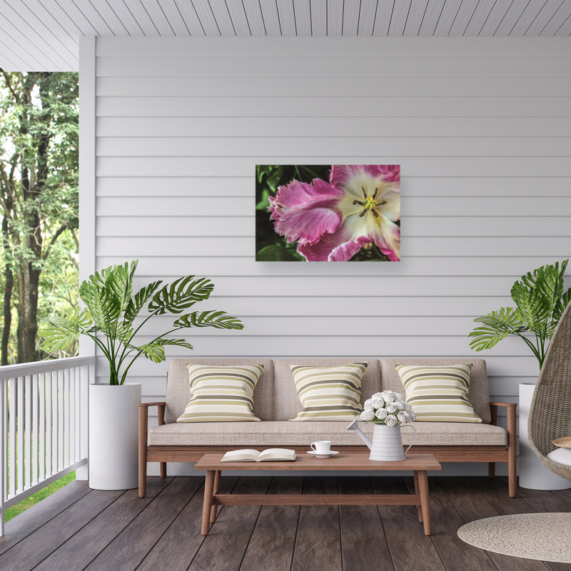 Kurt Shaffer Exotic Frilly Pink Tulip Outdoor  Canvas, H 30 po x l 47 po