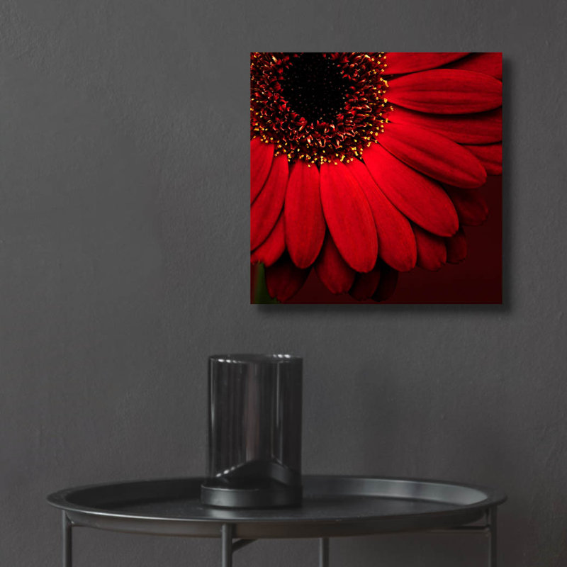 «Red Gerbera on Red 01» par Tom Quartermaine, art mural en verre acrylique, H 12 po x l 12 po x P 0,13 po