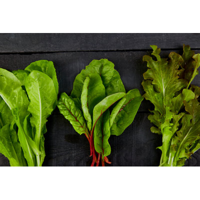 Leaf Salad by Bondarillia - Wrapped Canvas Print