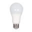 White LED Bulb-132194468-25605836-25605837