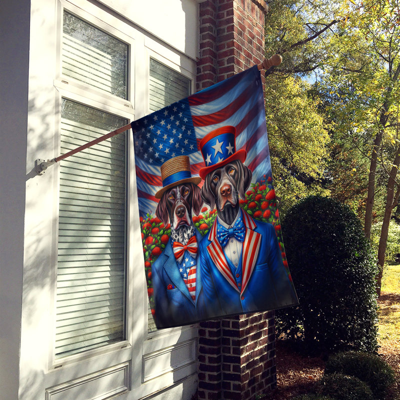 Drapeau «All American House», Braque allemand à poil court