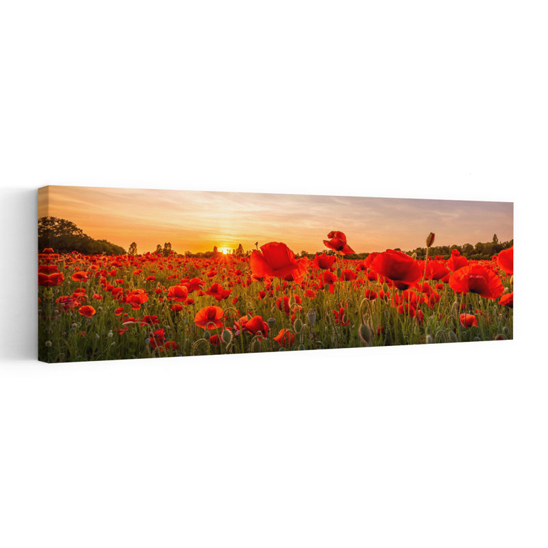 «Golden Poppy Sunset», art contemporain contemporain avec tulipe, H 20 po x l 60 po