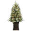36 arbre de Noël