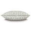 Evelina Brushstrokes Decorative Pillow
