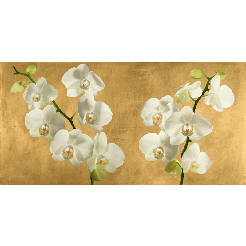 Orchids On A Golden Background by Andrea Antinori - Wrapped Canvas Art Prints, 50cm H x 100cm W x 4cm D
