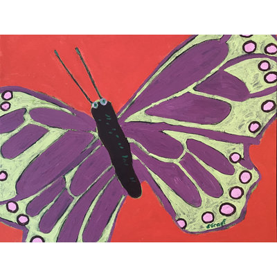 Butterfly by Sue Graef